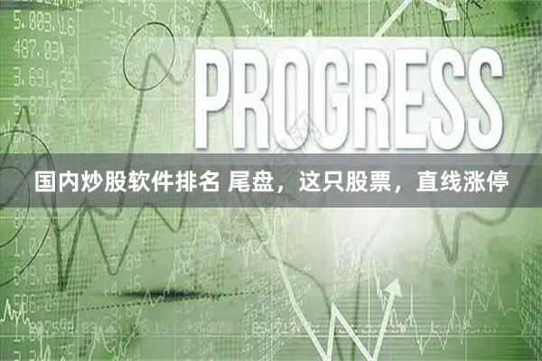 国内炒股软件排名 尾盘，这只股票，直线涨停