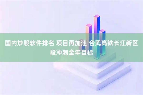 国内炒股软件排名 项目再加速 合武高铁长江新区段冲刺全年目标