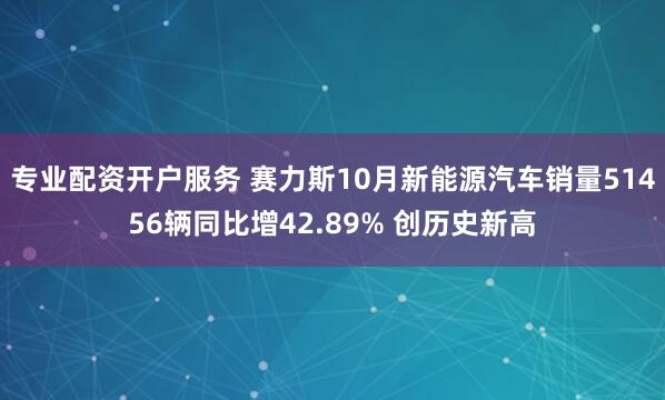 专业配资开户服务 赛力斯10月新能源汽车销量51456辆同比增42.89% 创历史新高
