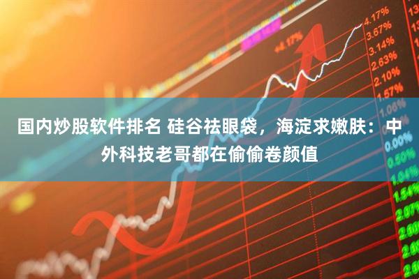 国内炒股软件排名 硅谷祛眼袋,海淀求嫩肤:中外科技老哥都在偷偷卷颜值