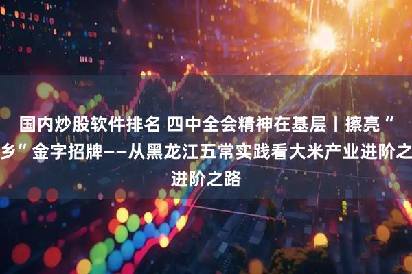 国内炒股软件排名 四中全会精神在基层丨擦亮“稻乡”金字招牌——从黑龙江五常实践看大米产业进阶之路