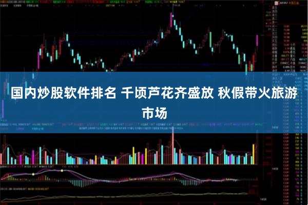 国内炒股软件排名 千顷芦花齐盛放 秋假带火旅游市场