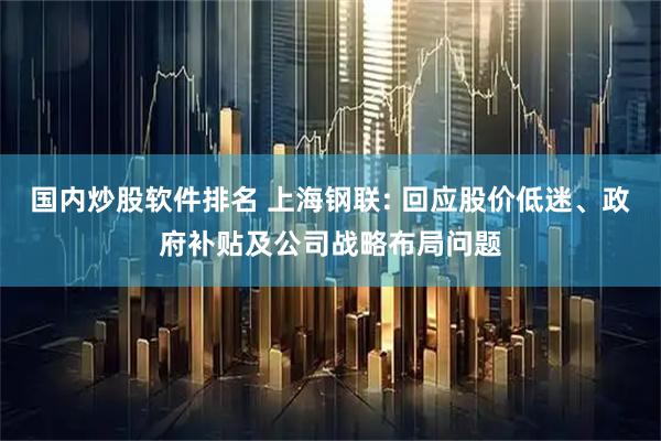 国内炒股软件排名 上海钢联: 回应股价低迷、政府补贴及公司战略布局问题