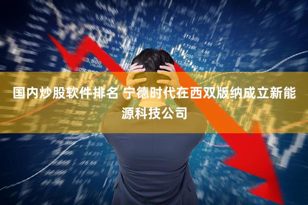 国内炒股软件排名 宁德时代在西双版纳成立新能源科技公司