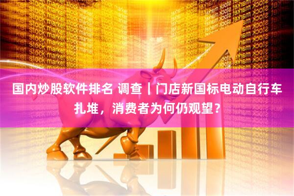 国内炒股软件排名 调查｜门店新国标电动自行车扎堆，消费者为何仍观望？