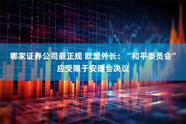 哪家证券公司最正规 欧盟外长：“和平委员会”应受限于安理会决议