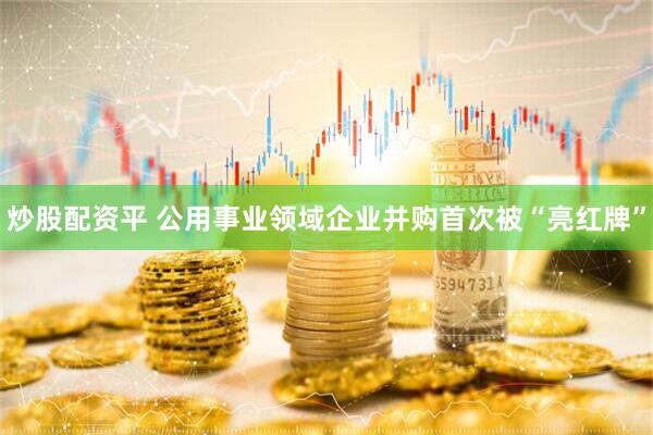 炒股配资平 公用事业领域企业并购首次被“亮红牌”