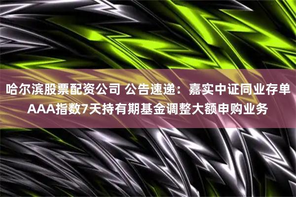 哈尔滨股票配资公司 公告速递：嘉实中证同业存单AAA指数7天持有期基金调整大额申购业务