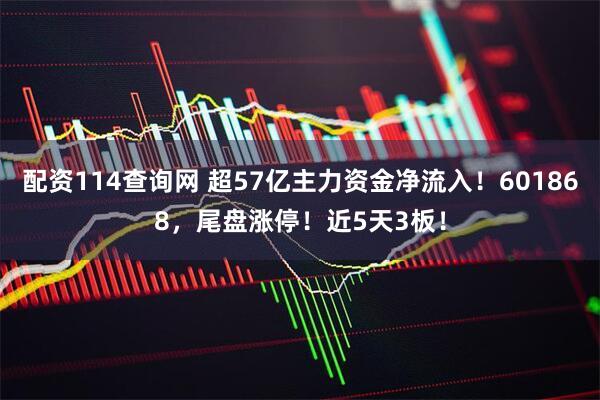 配资114查询网 超57亿主力资金净流入！601868，尾盘涨停！近5天3板！
