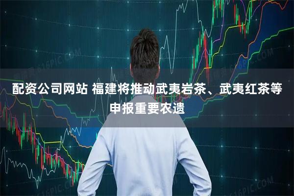 配资公司网站 福建将推动武夷岩茶、武夷红茶等申报重要农遗