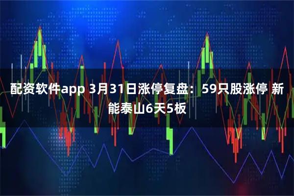 配资软件app 3月31日涨停复盘：59只股涨停 新能泰山6天5板
